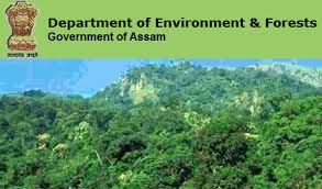 বনাঞ্চলিক বিষয়াই জব্দ কৰিলে অবৈধভাৱে নদীৰ বালি-মাটি কাটি নি থকা দুখন ট্ৰেক্টৰ