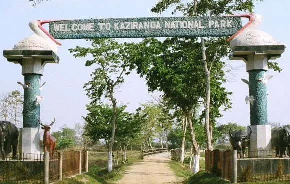Kaziranga-National-Park