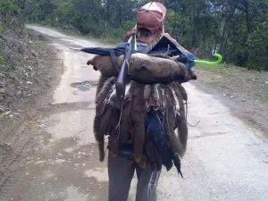 Hunting-1-300x225