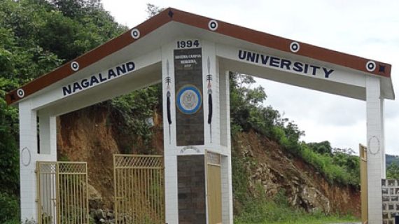 Nagaland University Gate