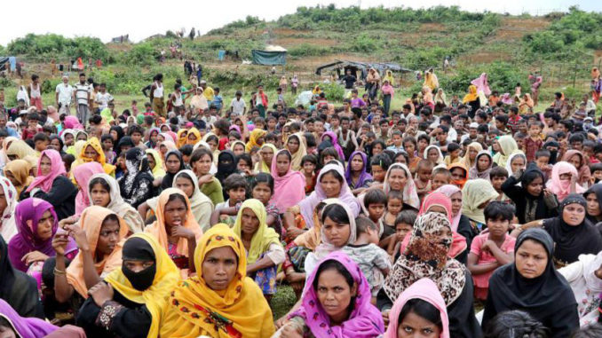 rohingya refugees