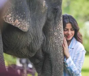 Priyanka_Chopra