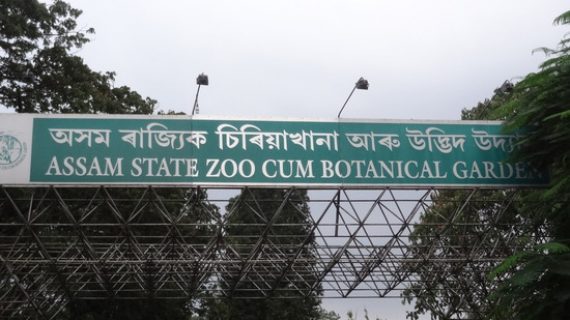 entrance-of-assam-state-zoo