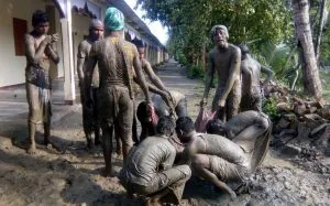 majuli 2