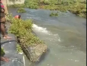 মাজুলী