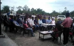 ulfa