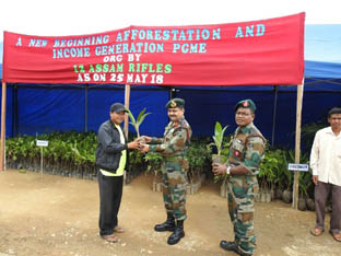 Assam Rifles distributes more than one lakh plants