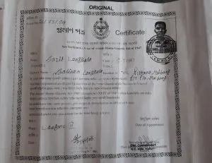 Fake_certificate_2