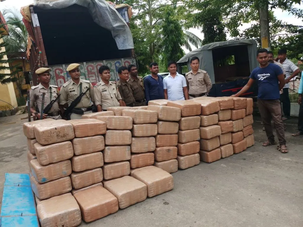 cannabis seized