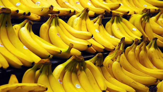 bananas-678x381