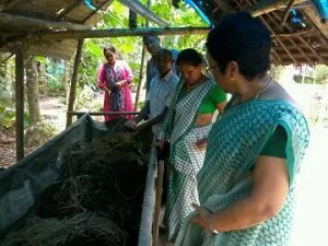 jorhat-organic-2