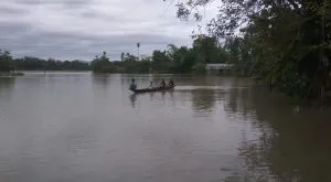 বানপানী