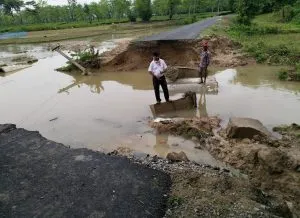 বানপানী