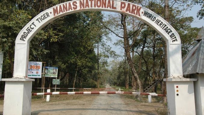manas-national-park-gate-678x381