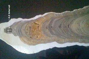 megh-300x200
