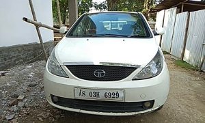 ড্রাগছ ইণ্ডিকা (1)