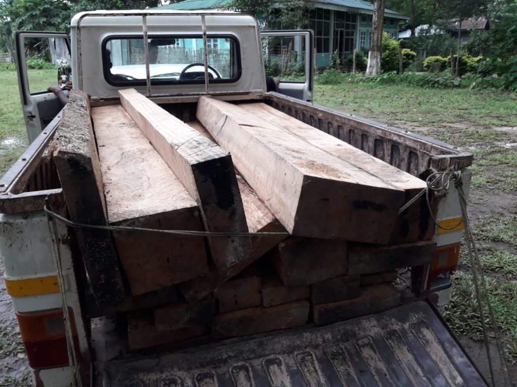Timber seized at Margherita