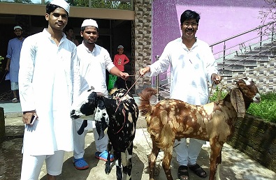 Sitting MLA from Sonai, Aminul Haque Laskar proudly displays two goats brought from Rajasthan as part of Bakri Eid celebrations on Wednesday