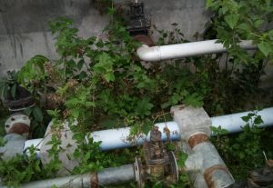 কলিয়াবৰ