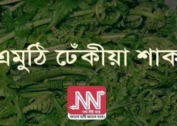 আমাৰ পৰিচিত ঢেঁকীয়া শাকৰ সন্ধানত