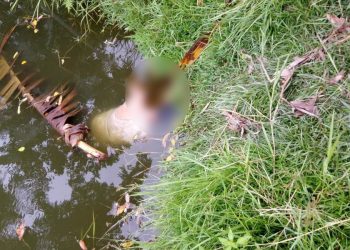 Bebejia dead body.Photo
