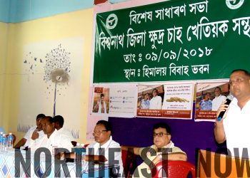কেঁচা চাহপাত: বিশ্বনাথত দিয়া নাই উচিত মূল্য, ফেক্টৰিক সকীয়নি ক্ষুদ্ৰ চাহ খেতিয়ক সন্থাৰ