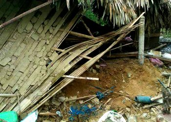 তিনিচুকীয়াৰ পেঙেৰীত বনৰীয়া হস্তীৰ তাণ্ডৱ, বাসগৃহ লণ্ডভণ্ড