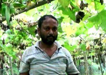 ‘আনৰ মাটি’ত খেতিৰে লাখ টকা উপাৰ্জন চৰকাৰী চাকৰিয়াল দীপক শইকীয়াৰ