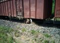 IMG-20180924-WA0049