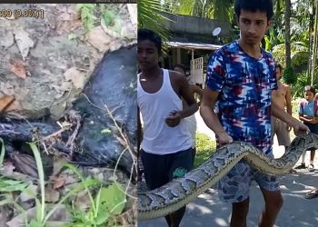 Kaliabor_Python
