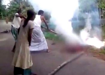 Nagaon-electrocution-750x375