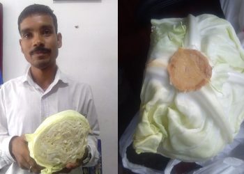 PlasticCabbage