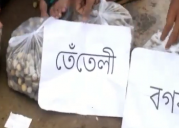 RupjyotiPuthibharal_1