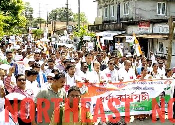 congress protest in assam's biswanth