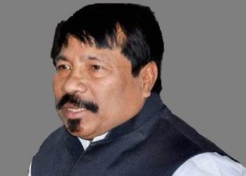 Assam animal husbandry minister Atul Bora presser on Classical swine fever in state
