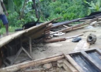 elephant-damage-570x320