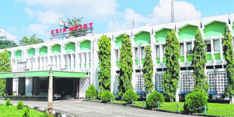 csir-niest_2311112_835x547-m