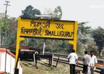 Simaluguri