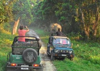 jeep-safari