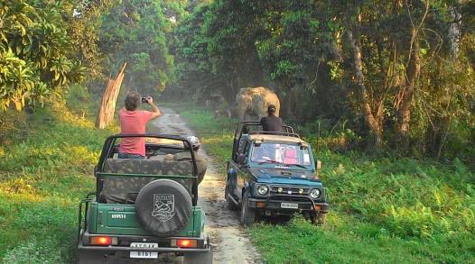 jeep-safari