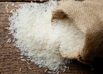 rice