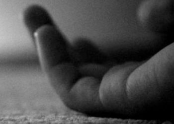 suide-750x375
