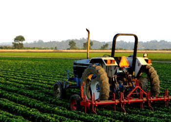 assam farmers to get online facilities soon