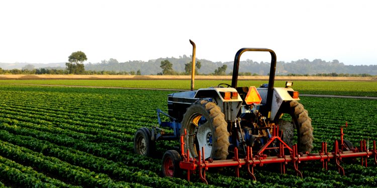 assam farmers to get online facilities soon