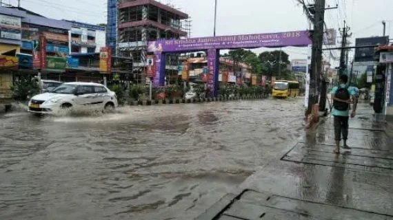 zooroad-flood-570x320