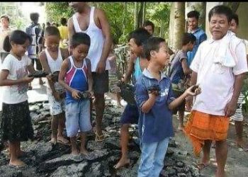 বটদ্রবা