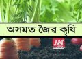 অসমত জৈৱিক খেতি
