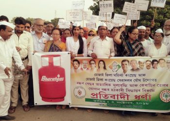Hojai Congress
