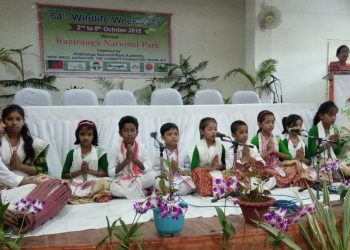 Wildlife week at Kaziranga
