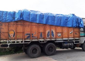 নগাঁৱত ৭০ লক্ষাধিক টকাৰ চোৰাং আগৰ কাঠ ভৰ্তি ট্ৰাক জব্দ